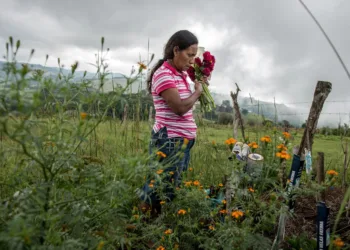 Guatemala lidera como el país más peligroso para defensores ambientales en Centroamérica
