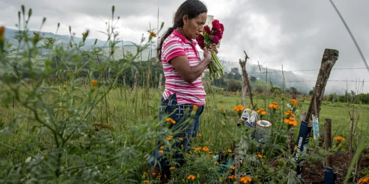 Guatemala lidera como el país más peligroso para defensores ambientales en Centroamérica