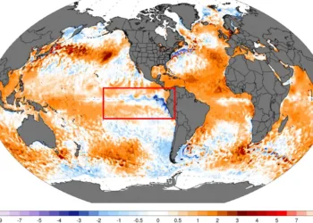 La Niña regresa por quinta vez en seis años: alerta climática con impacto en Centroamérica y posible transición a El Niño
