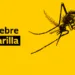 Ministerio de Salud de Costa Rica reporta caso sospechoso de fiebre amarilla