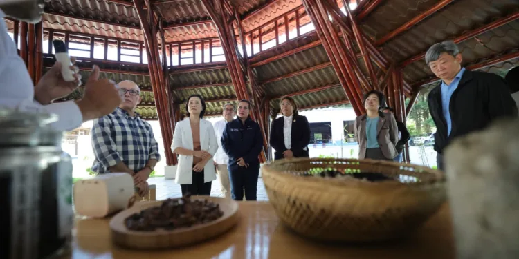 Guatemala y Taiwán fortalecen la cooperación para desarrollar la industria sostenible del bambú