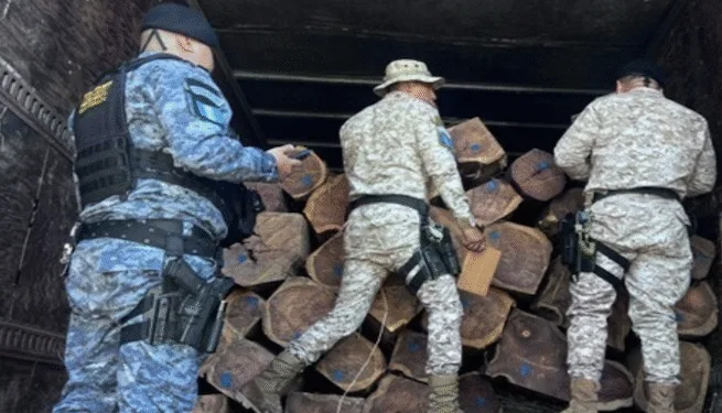 INTERPOL lanza operativo contra crímenes ambientales en 6 países centroamericanos