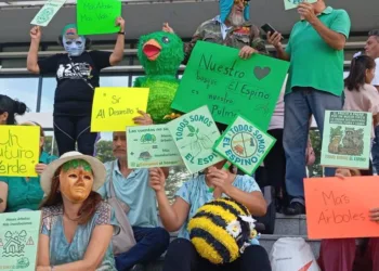 Deforestación y riesgo de inundaciones: el conflicto por el proyecto chino en la finca El Espino de El Salvador