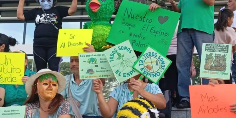 Deforestación y riesgo de inundaciones: el conflicto por el proyecto chino en la finca El Espino de El Salvador