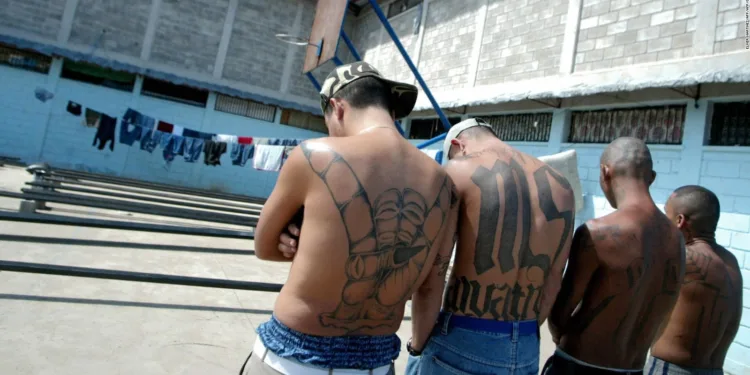 Guatemala publica la nueva Ley Antipandillas en medio de crisis de seguridad