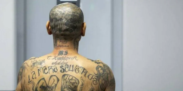 Ley Antipandillas: abogados de Guatemala ven fallas en el recurso presentado por un pandillero