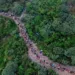 Medio millón de migrantes pagó hasta 10 mil dólares para cruzar el Darién: el negocio del crimen en Centroamérica