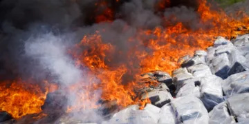 El Salvador destruye más de una tonelada de cocaína incautada a tres ecuatorianos, valorada en más de $45 millones