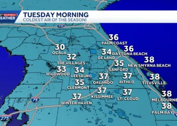 Ola de frío en EE UU provoca temperaturas bajo cero y caída de iguanas en Florida