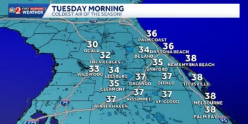 Ola de frío en EE UU provoca temperaturas bajo cero y caída de iguanas en Florida