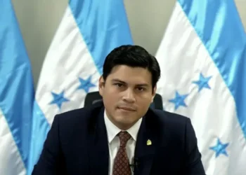 Embajador de Argentina cuestiona participación de consejero electoral oficialista en sesión de la OEA sobre comicios en Honduras