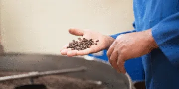 Las exportaciones de Guatemala crecen 7.4 % a septiembre, con el café como su principal producto