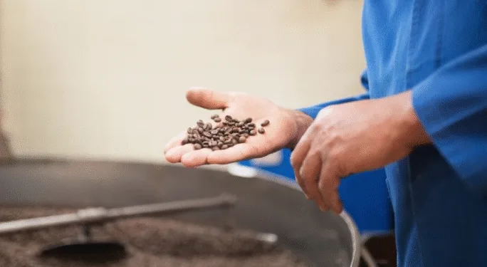 Las exportaciones de Guatemala crecen 7.4 % a septiembre, con el café como su principal producto