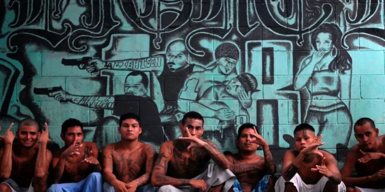 El crimen le cuesta a Centroamérica más del 7% de su PIB cada año, según informe regional