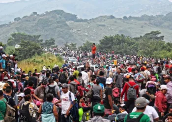 El 74% del crimen organizado en Centroamérica se alimenta de la migración irregular, según informe regional