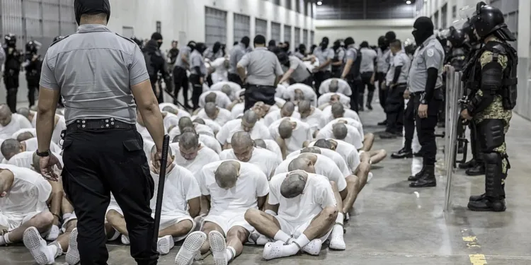 Informe revela que venezolanos sufrieron torturas físicas, sexuales y psicológicas en megacárcel salvadoreña