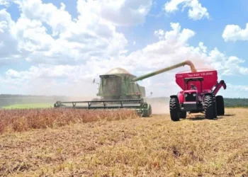 Análisis revela que economía paraguaya se vería duramente afectada en caso de un giro diplomático a China