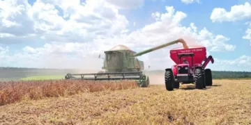 Análisis revela que economía paraguaya se vería duramente afectada en caso de un giro diplomático a China  