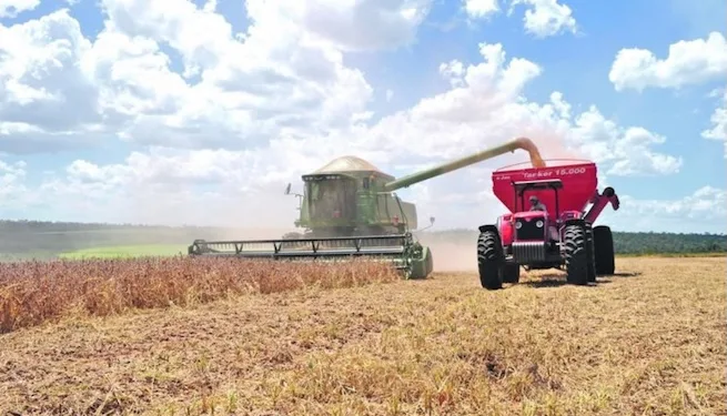 Análisis revela que economía paraguaya se vería duramente afectada en caso de un giro diplomático a China