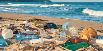 Cada minuto en las playas de Costa Rica y El Salvador se registran hasta 3 residuos plásticos por persona