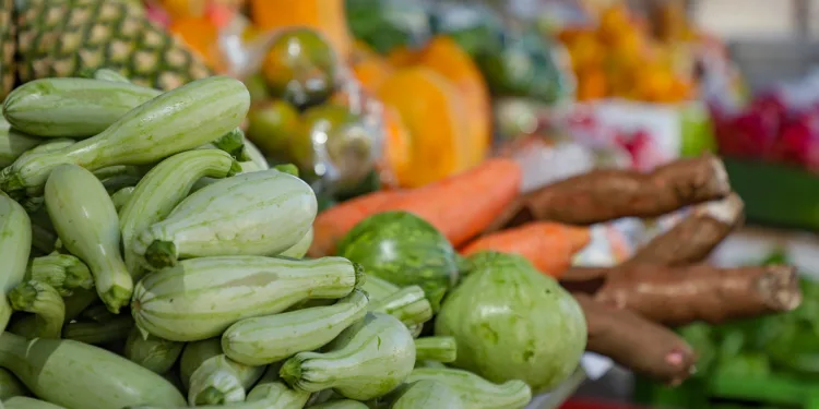 Centroamérica conserva su vocación agrícola, aunque su peso en el PIB se reduce