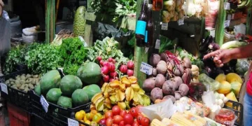 Alimentos, transporte y vivienda lideran el gasto en los hogares de Costa Rica, según Encuesta de Hogares