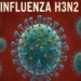 Guatemala confirma el primer caso de variante K de influenza A H3N2