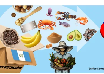 Exportaciones de Guatemala a Taiwán consolidan una alianza comercial estratégica