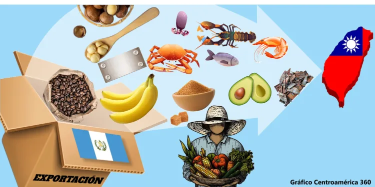 Exportaciones de Guatemala a Taiwán consolidan una alianza comercial estratégica