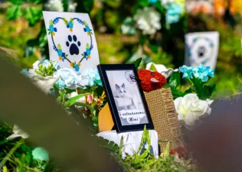 Jardines de Huellitas: El Salvador abre su primer cementerio municipal de mascotas