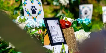 Jardines de Huellitas: El Salvador abre su primer cementerio municipal de mascotas