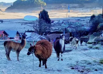 Helada en Guatemala cubre de blanco la Sierra de los Cuchumatanes