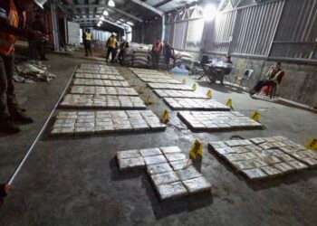 Guatemala: Decomisan otro millonario cargamento de cocaína en Puerto Quetzal