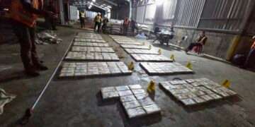 Guatemala: Decomisan otro millonario cargamento de cocaína en Puerto Quetzal