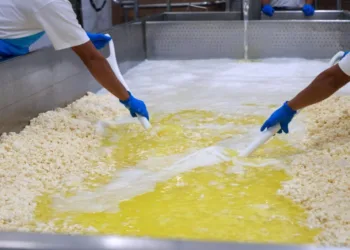 Panamá activa salvaguardas para proteger la producción agrícola ante alza de importaciones