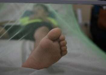 El Salvador confirma el primer caso de dengue del año y casi 400 personas están bajo sospecha de contagio