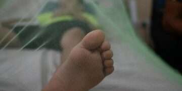 El Salvador confirma el primer caso de dengue del año y casi 400 personas están bajo sospecha de contagio