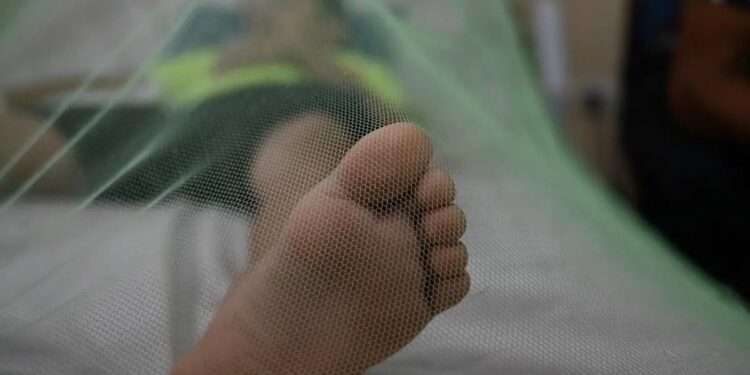 El Salvador confirma el primer caso de dengue del año y casi 400 personas están bajo sospecha de contagio