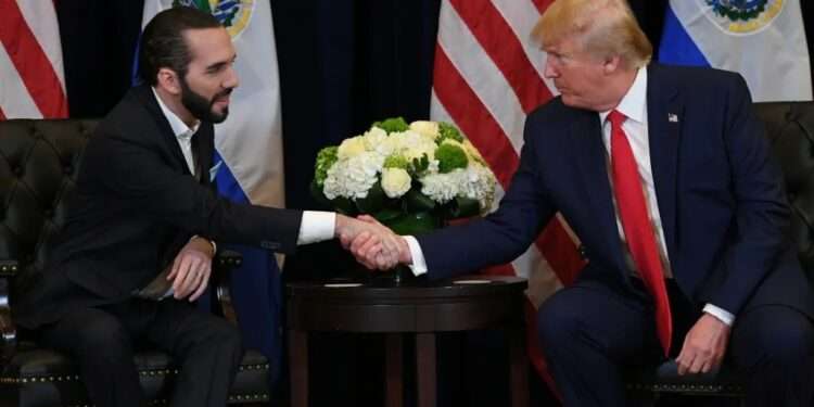 El Salvador se suma como miembro fundador a la Junta de Paz impulsada por Trump