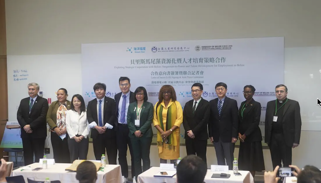 Belice y Taiwán impulsan proyecto para convertir sargazo en energía