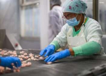 Exportaciones de Panamá alcanzan su mayor nivel en 16 años y superan los $980 millones