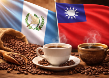 El mejor café lavado del mundo es el de Guatemala, según empresario taiwanés