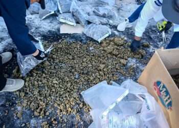 El Salvador incauta más de 2.8 toneladas de droga en lo que va de 2026