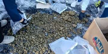 El Salvador incauta más de 2.8 toneladas de droga en lo que va de 2026