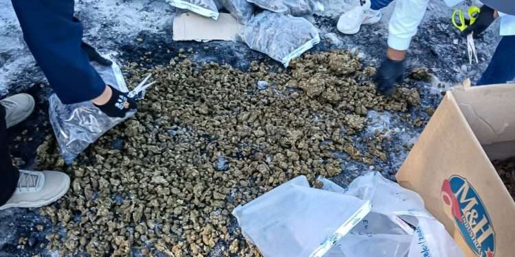 El Salvador incauta más de 2.8 toneladas de droga en lo que va de 2026