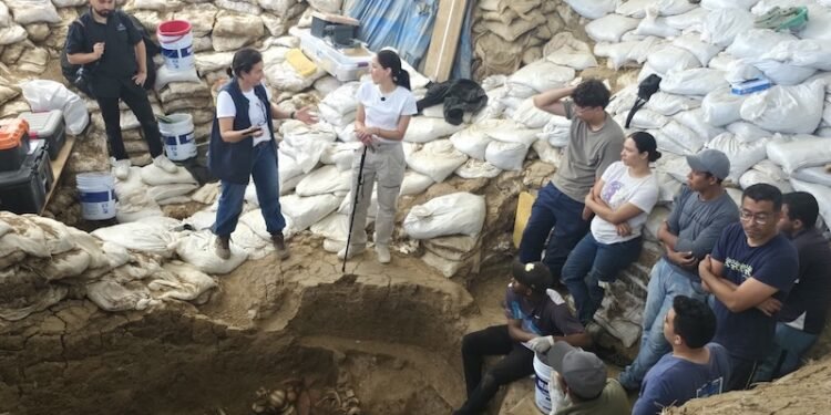 Hallan tumba milenaria con oro en sitio arqueológico panameño