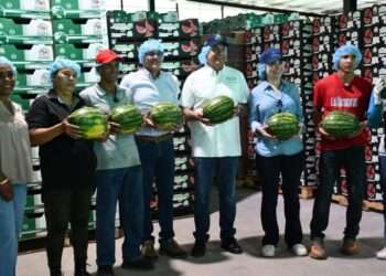Panamá exportará 700 contenedores de sandía y melón hacia Europa en los próximos tres meses