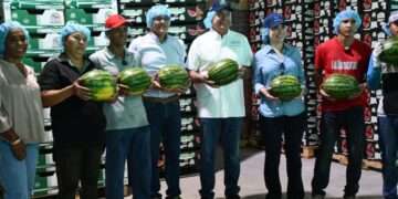 Panamá exportará 700 contenedores de sandía y melón hacia Europa en los próximos tres meses
