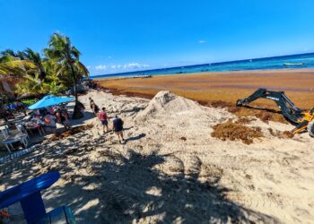 Sargazo causa cierre en Roatán: el fenómeno que afecta al turismo de Honduras