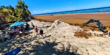 Sargazo causa cierre en Roatán: el fenómeno que afecta al turismo de Honduras